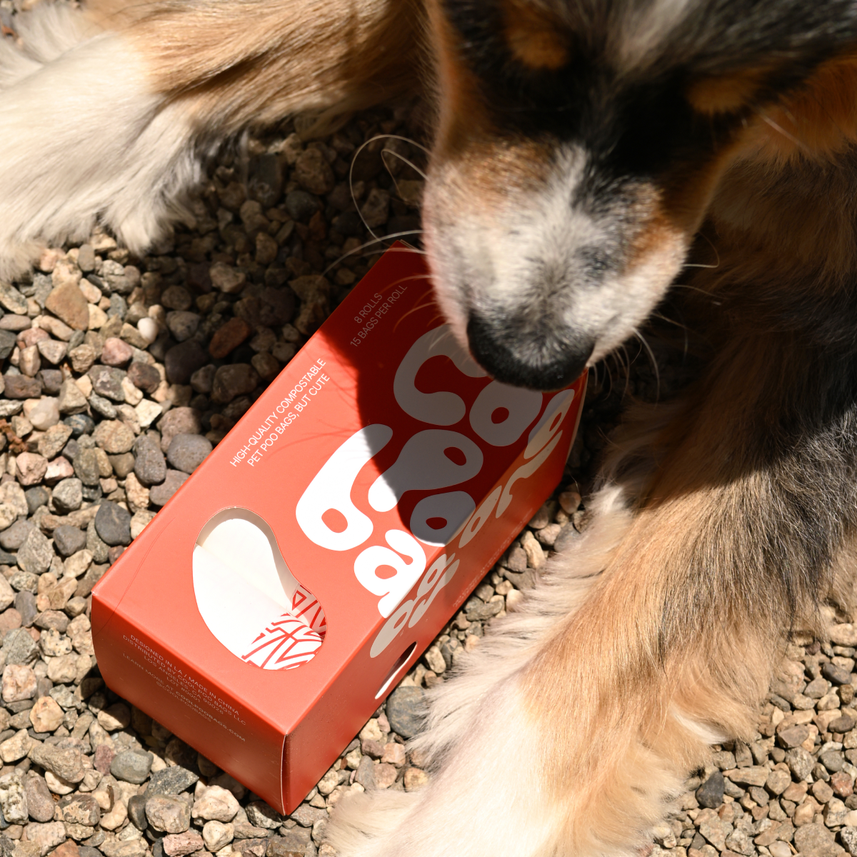 The Thank You Dog Bag