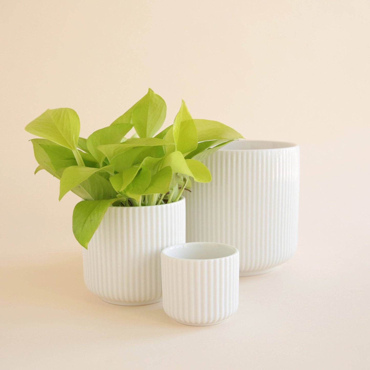 Lucy Pot | White | 6.75 inch