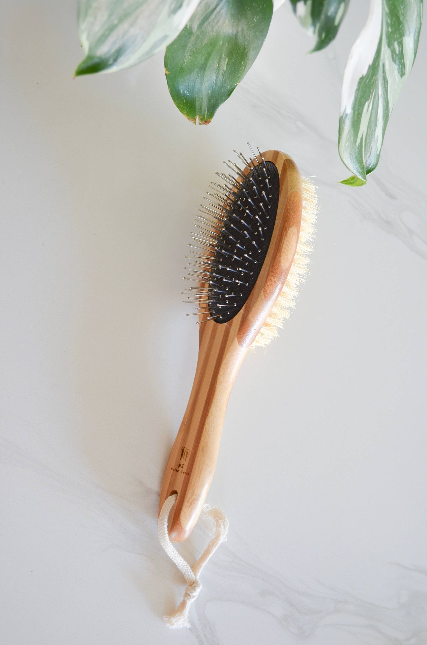 Eco Friendly Bamboo Pet Brush: Small