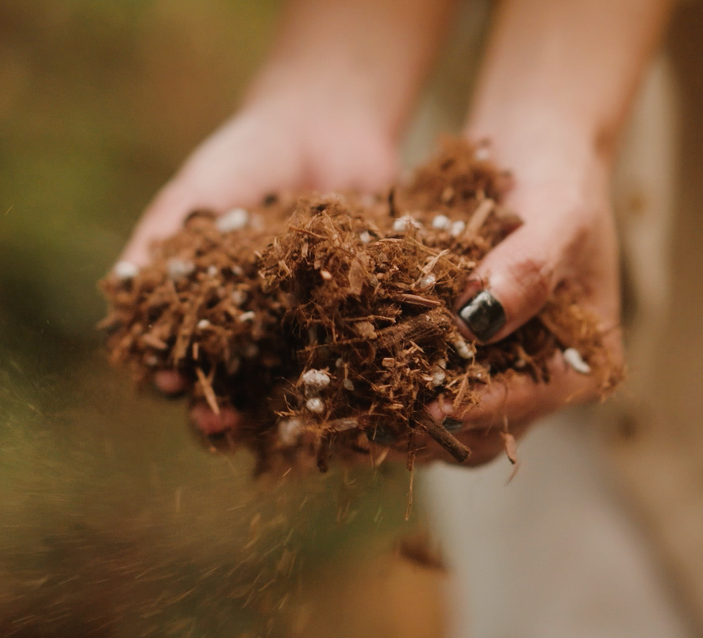 Premium Houseplant Potting Mix