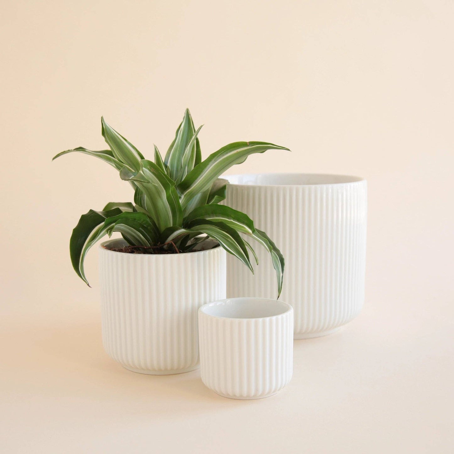 Lucy Pot | White | 6.75 inch