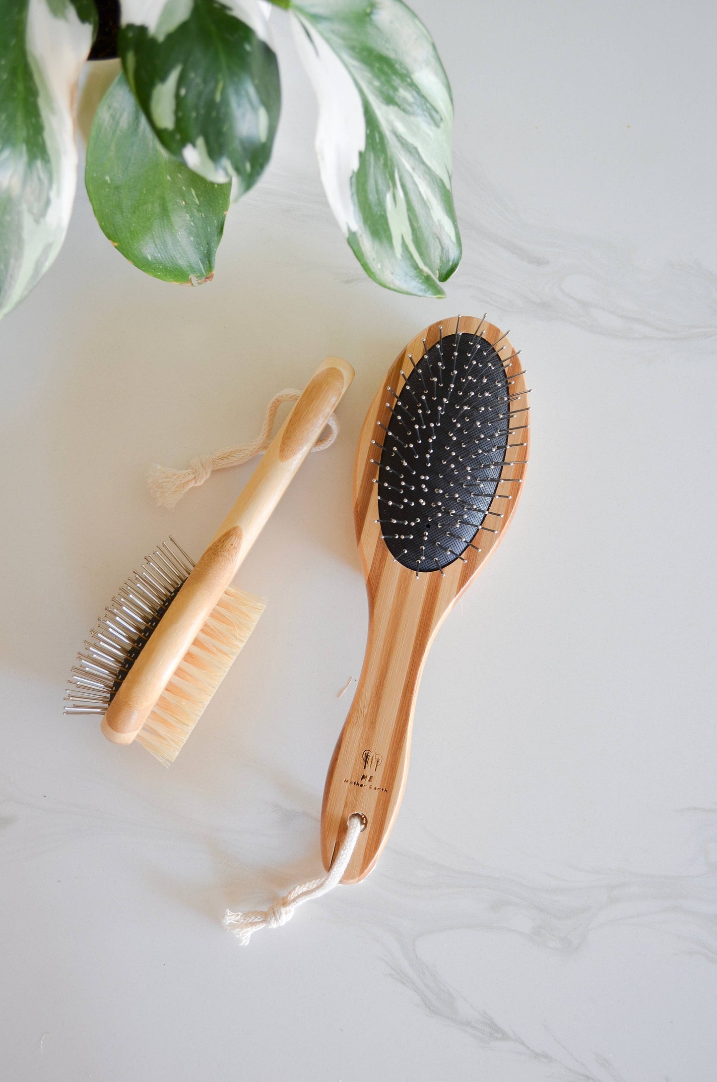 Eco Friendly Bamboo Pet Brush: Small