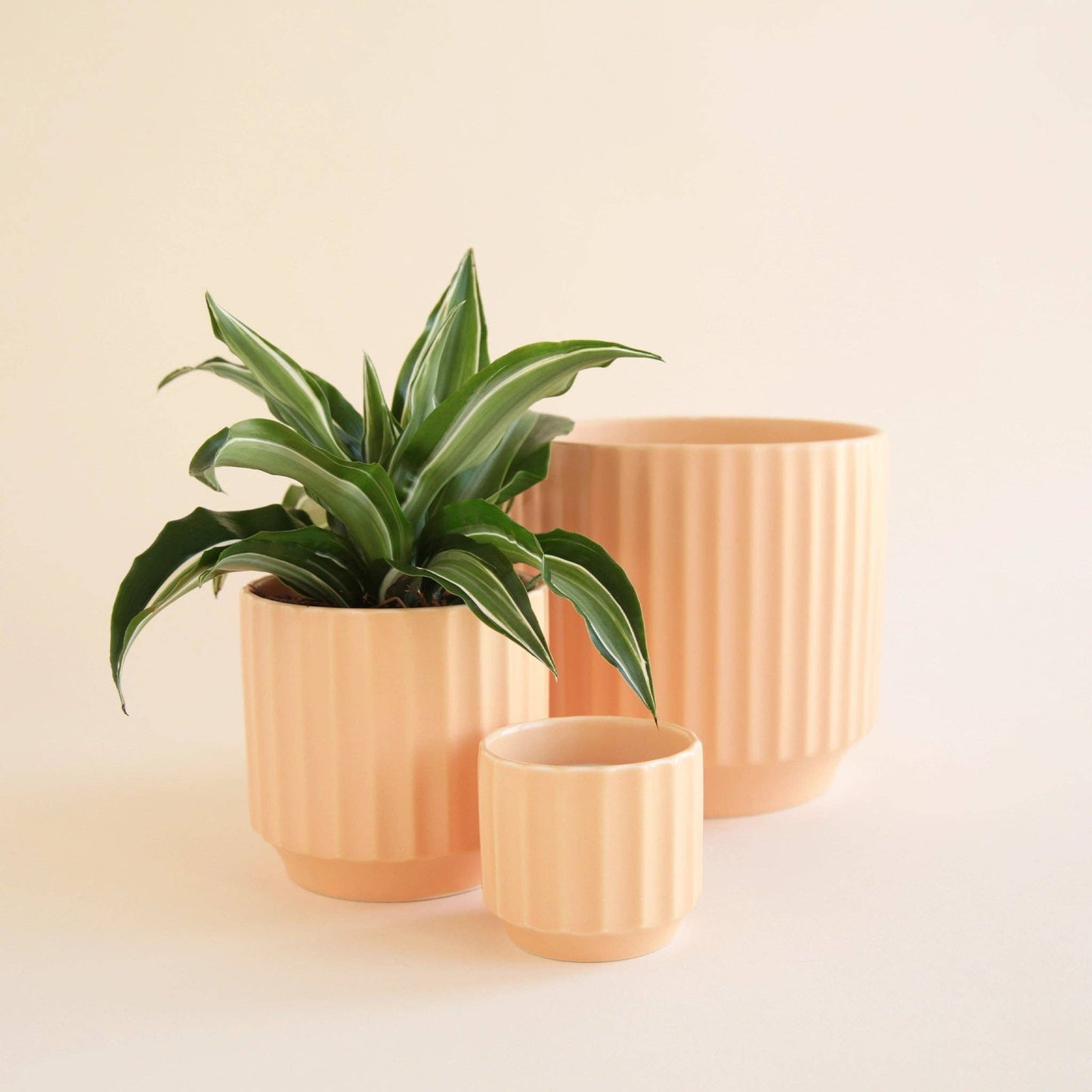 Monroe Pot | Sunset | 6.75 inch