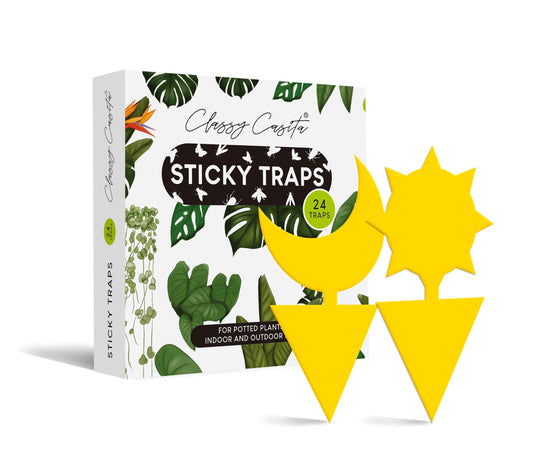 Sticky Traps